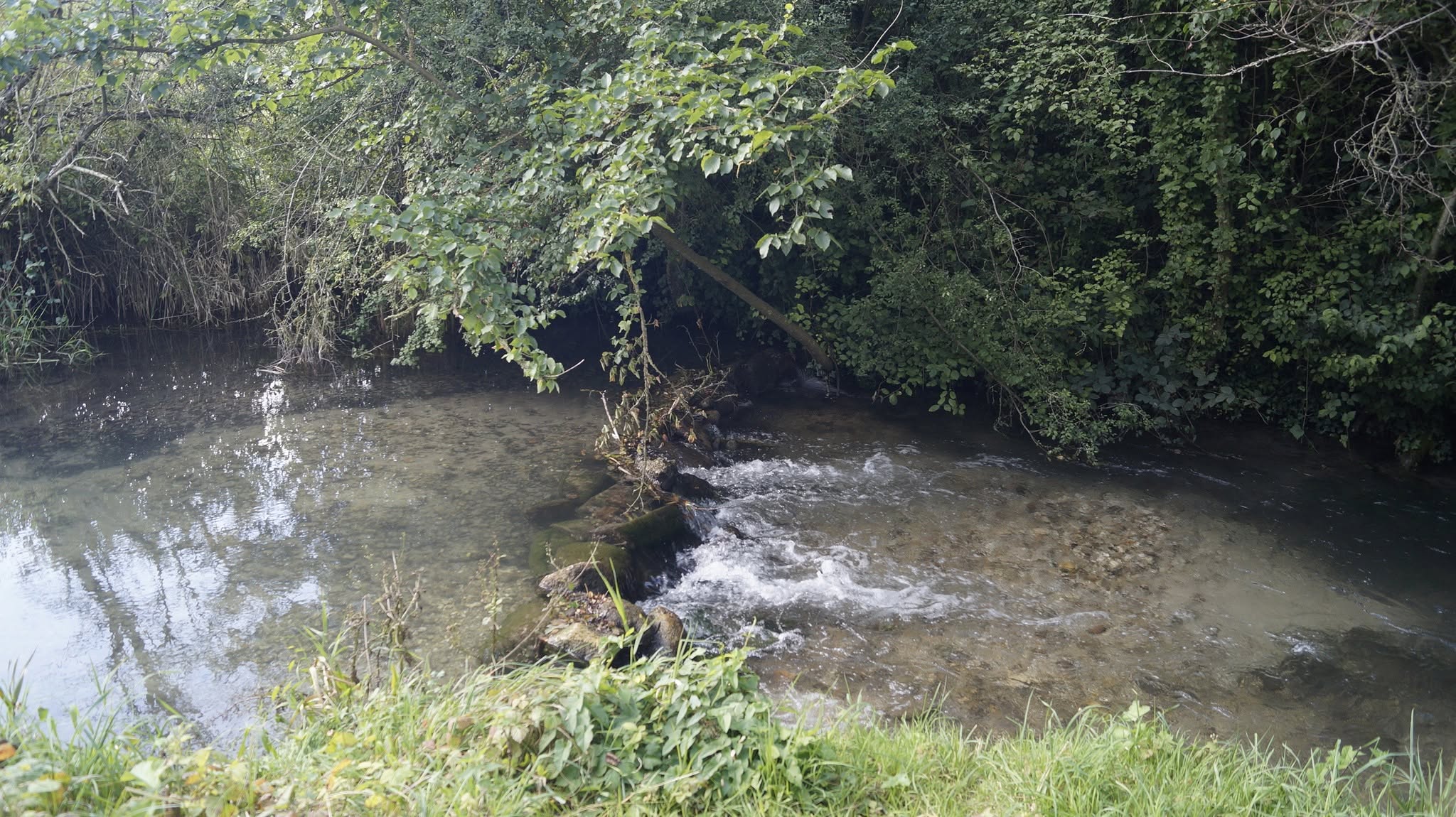 Randonnée et rétro gaming à Croissy-sur-Celle