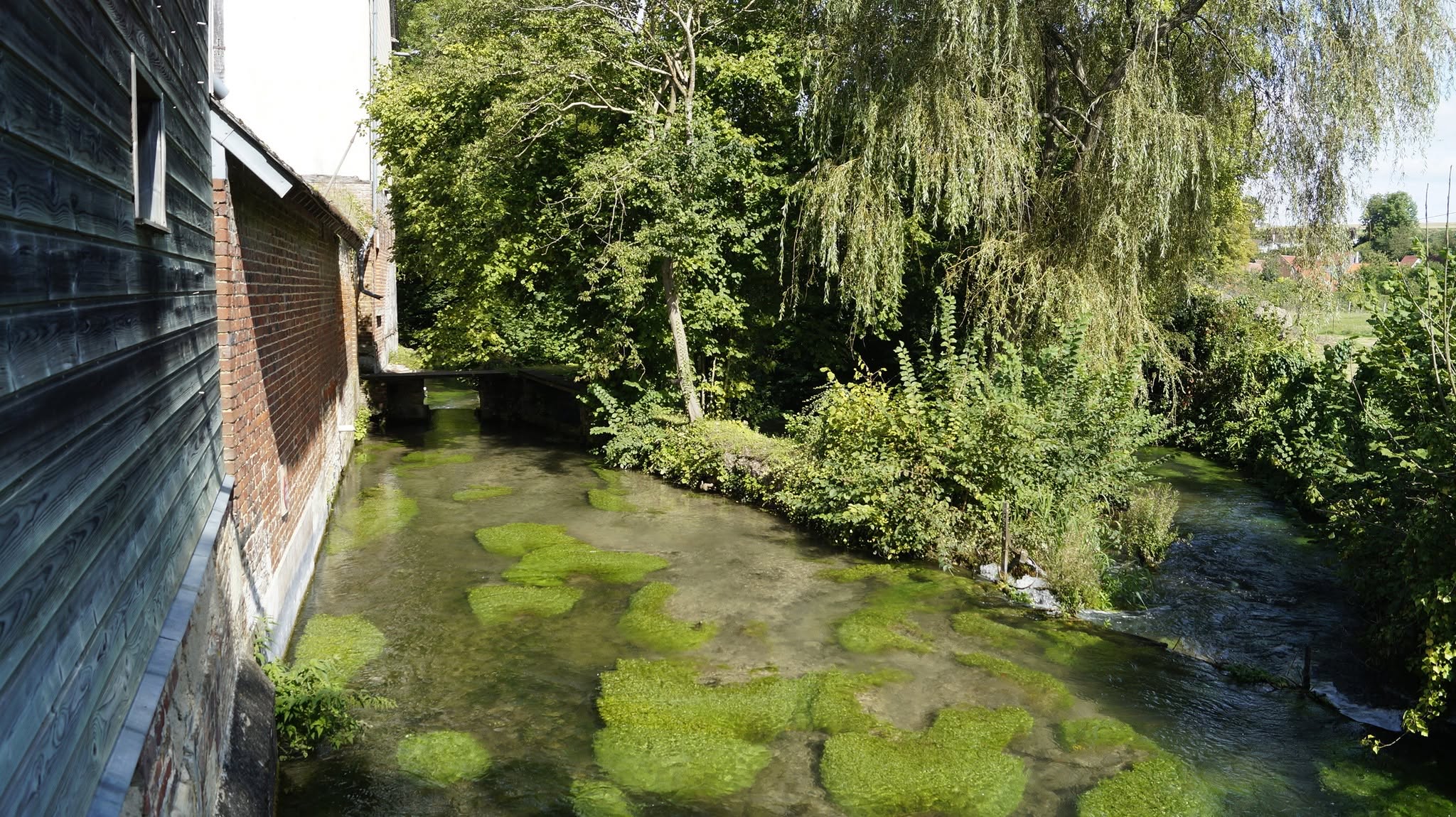 Randonnée et rétro gaming à Croissy-sur-Celle — photo 4