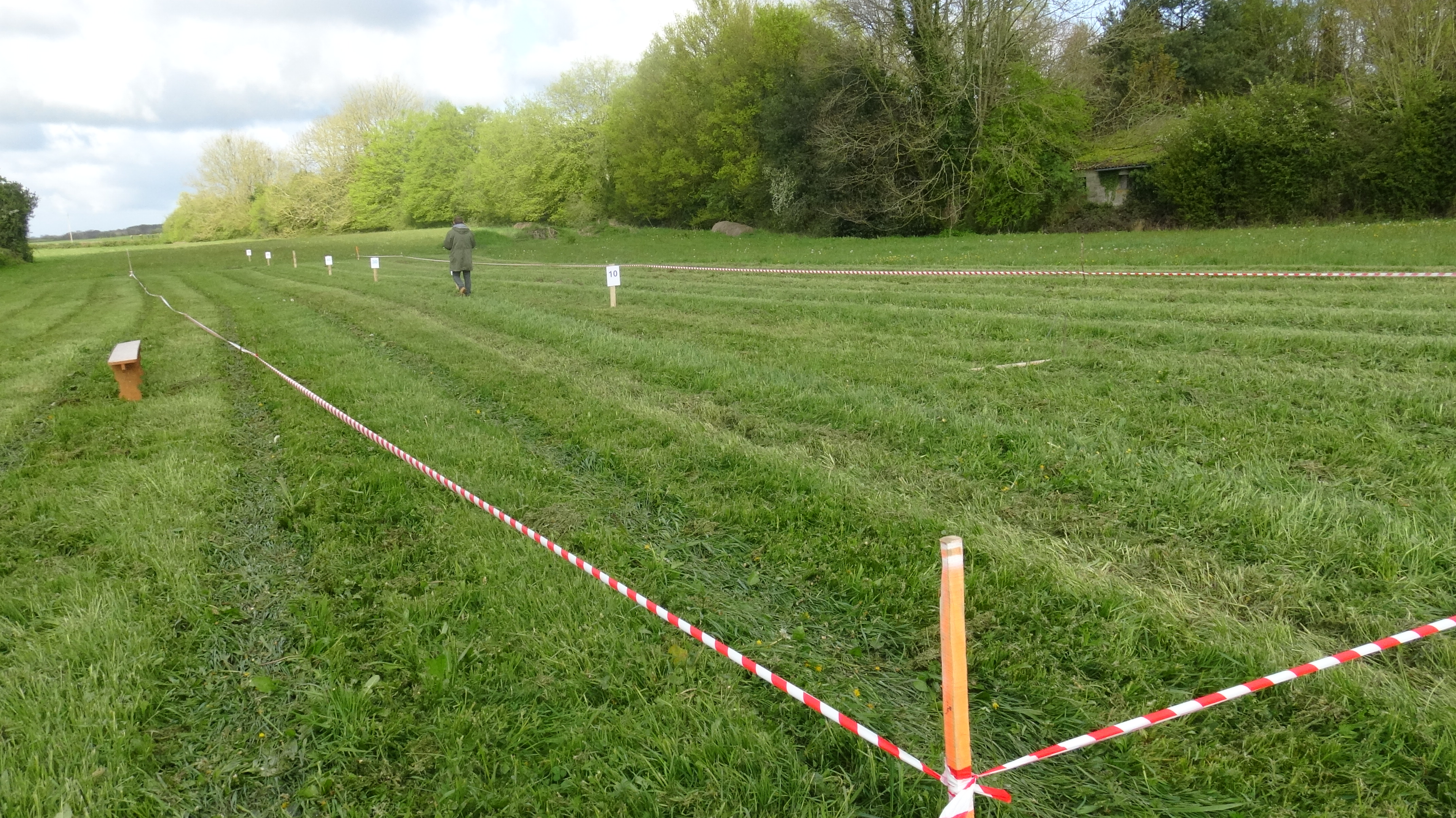 Record de lancer d'œufs à Campeaux