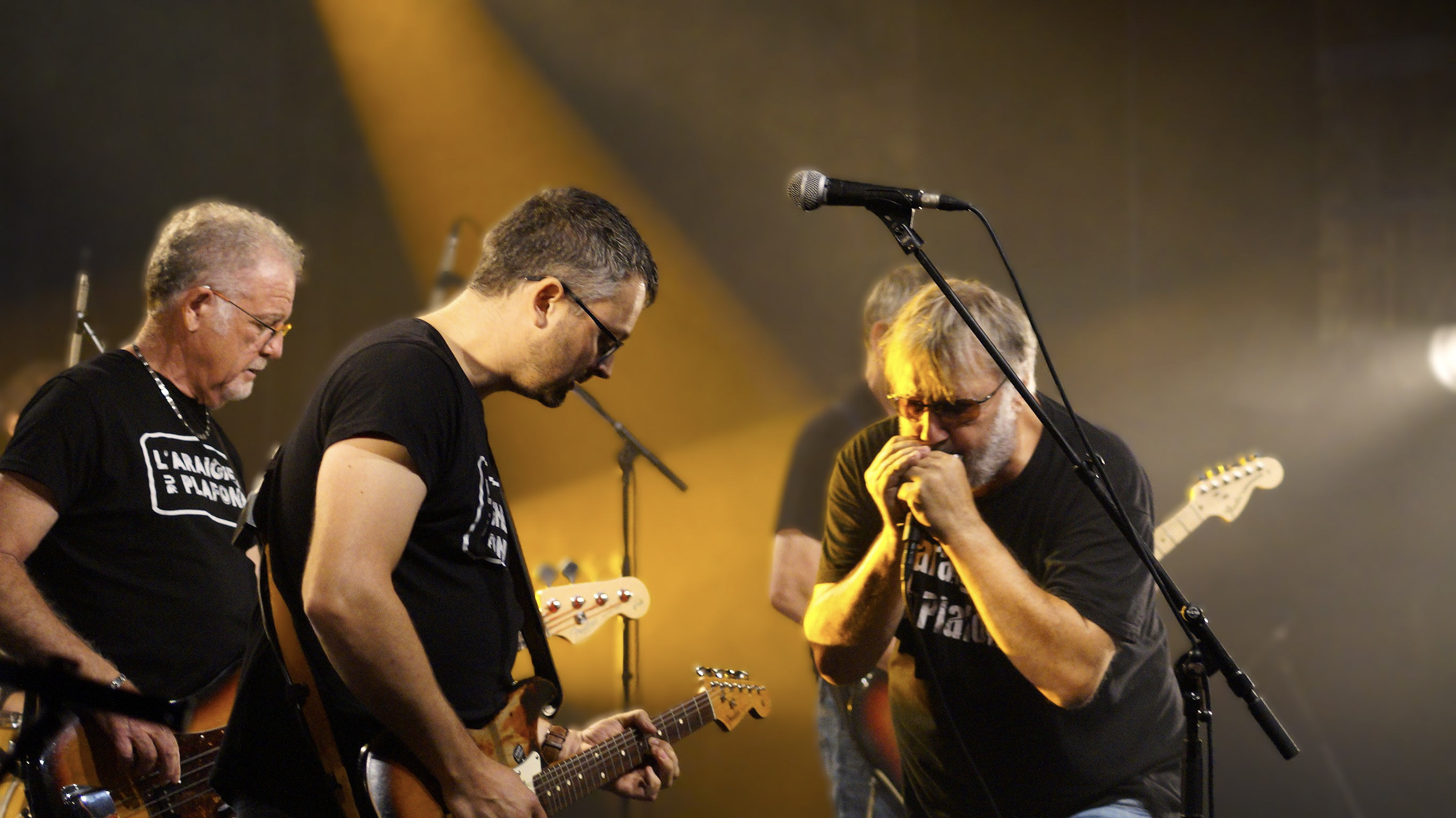 L'Arthur's Day Festival fait son retour — photo 34