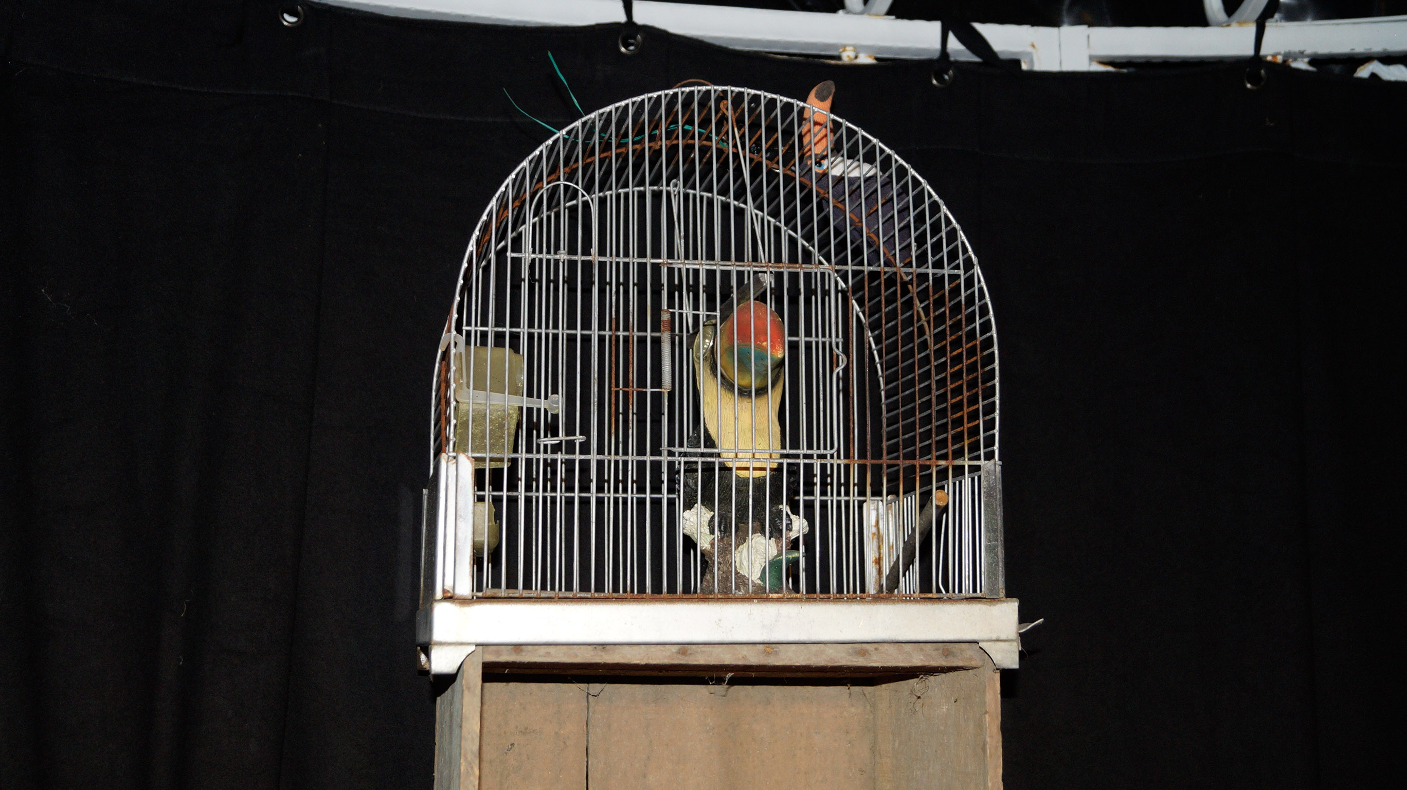 L'Arthur's Day Festival fait son retour — photo 86