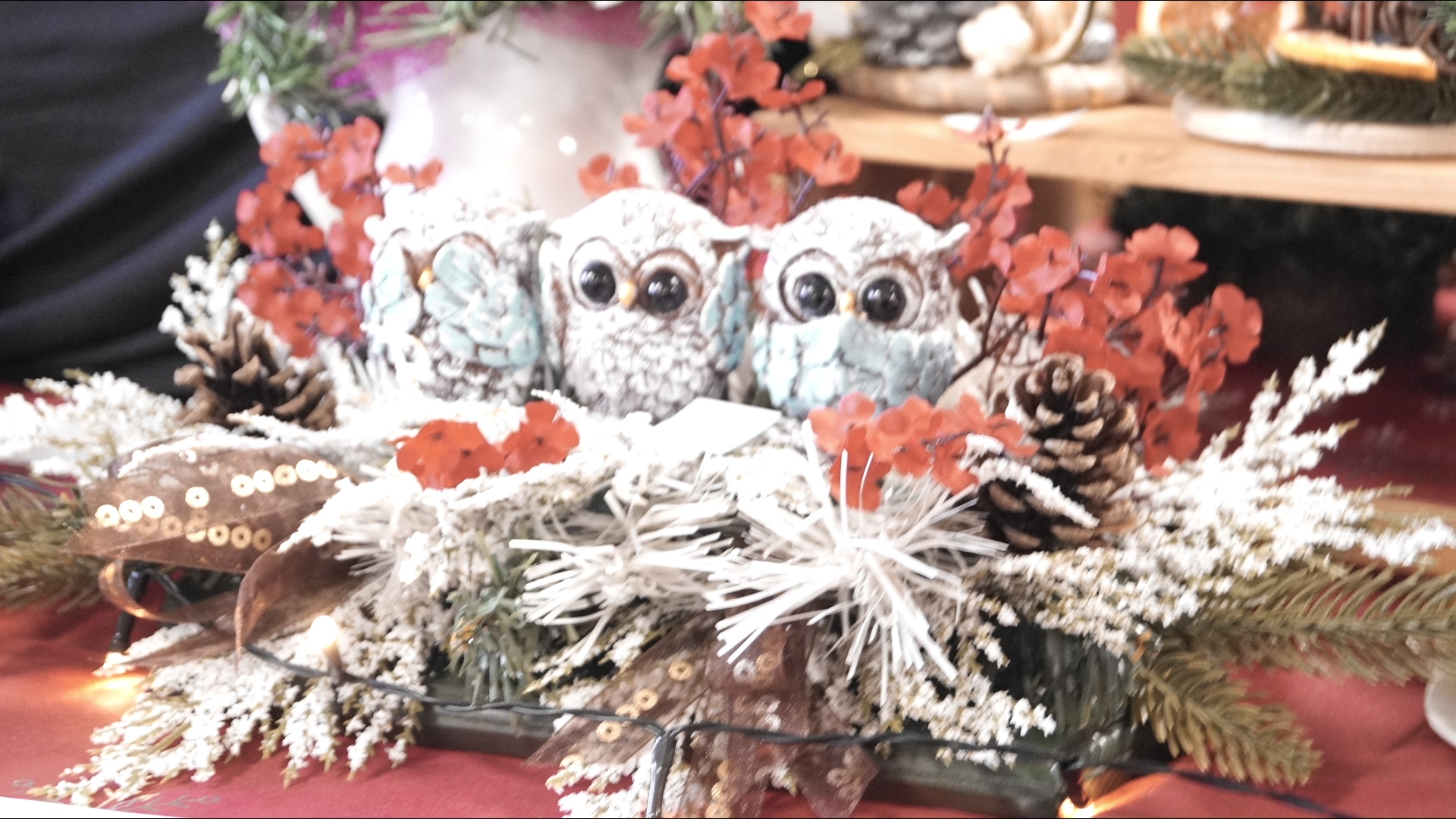 La Magie de Noël à Halloy — photo 35