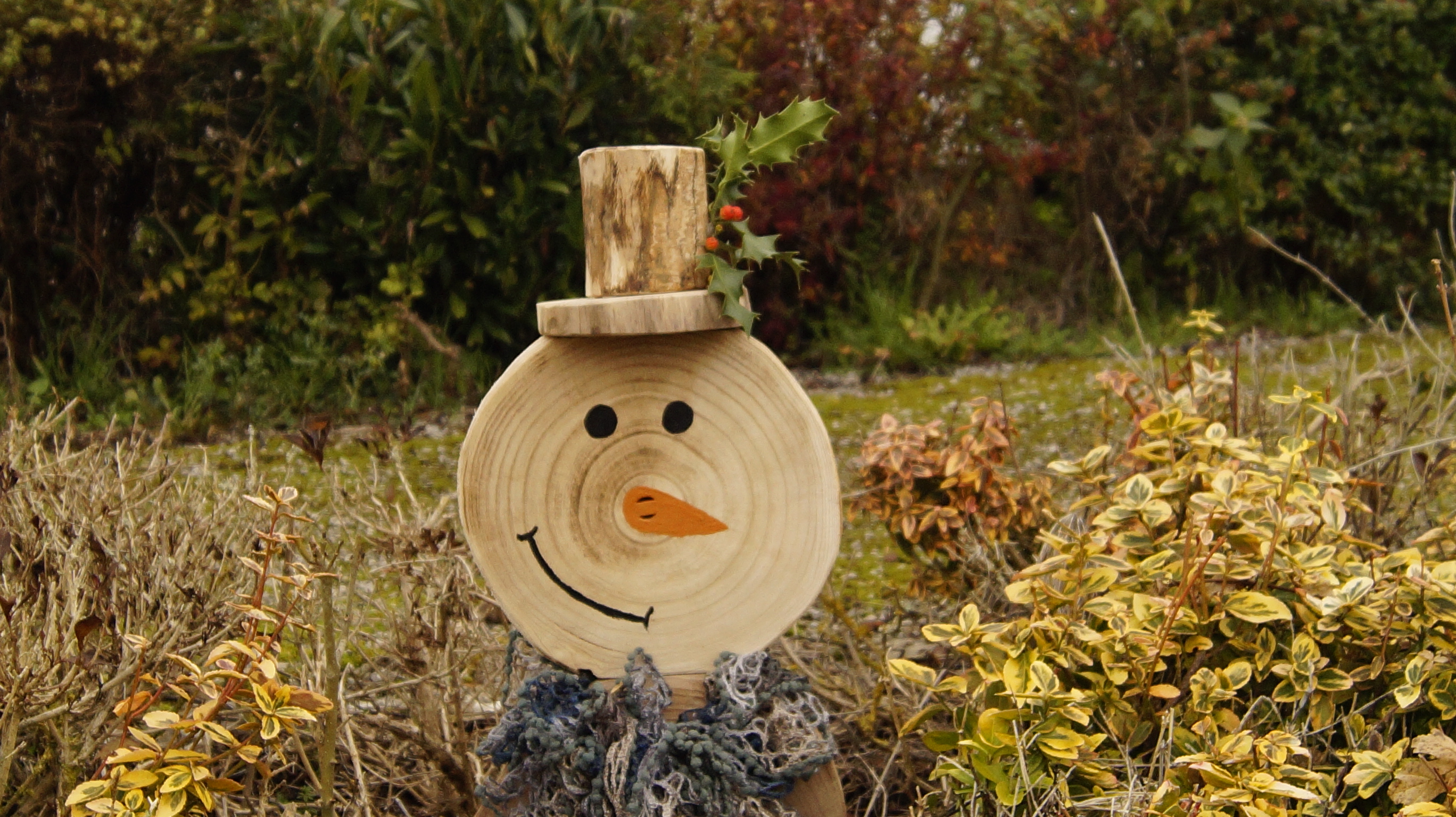 Halloy s'habille pour Noël — photo 6