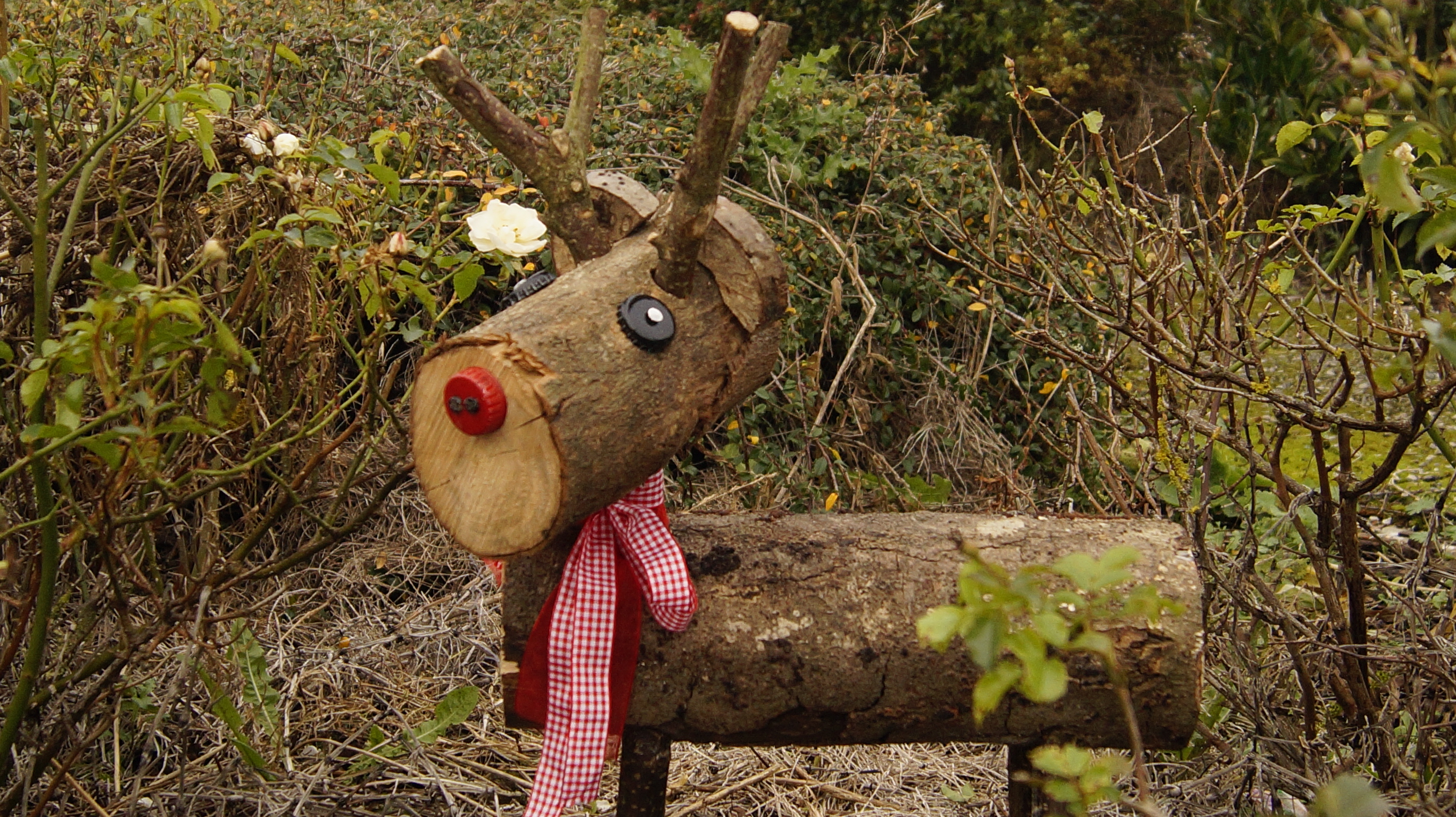 Halloy s'habille pour Noël — photo 7