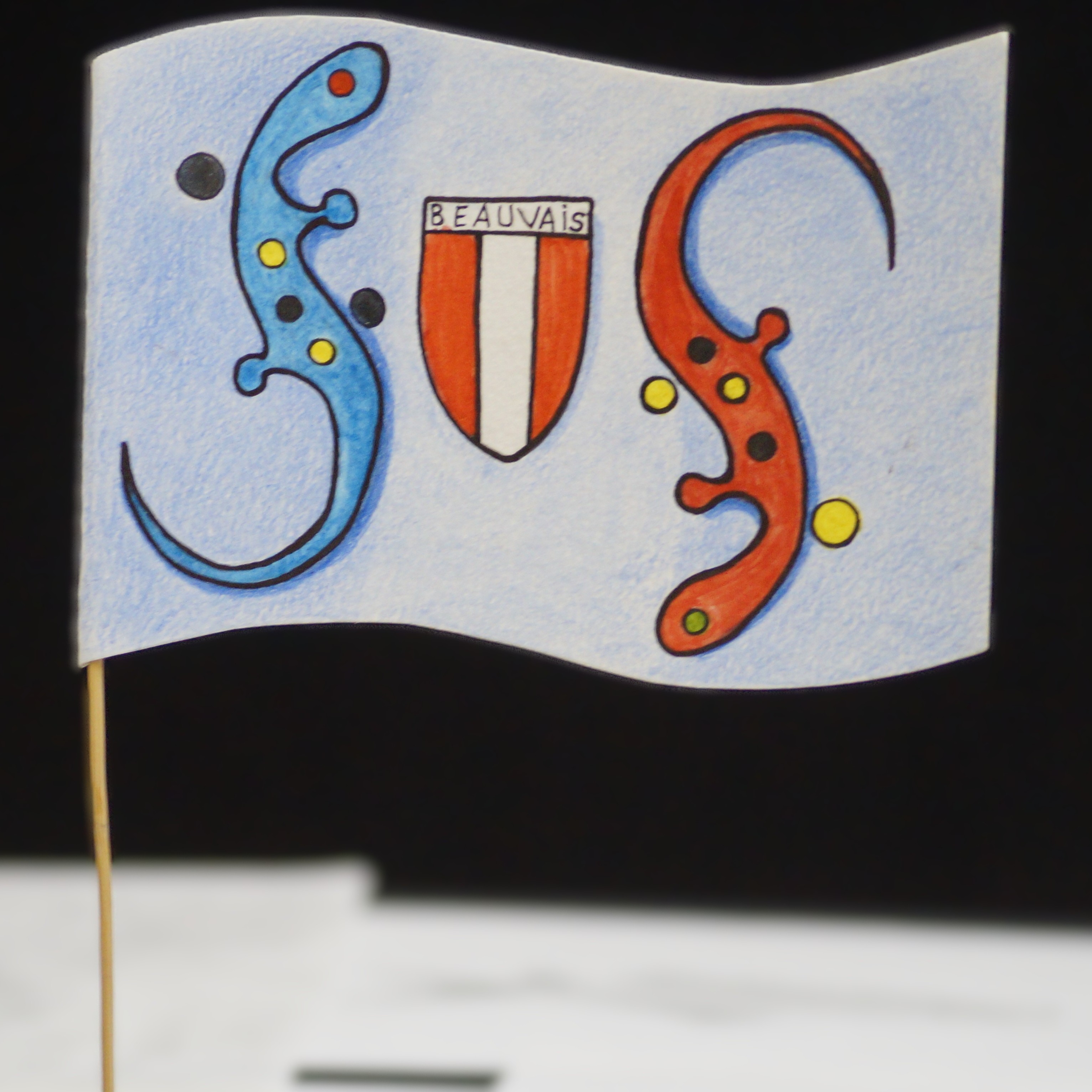 L'album du drapeau — photo 13