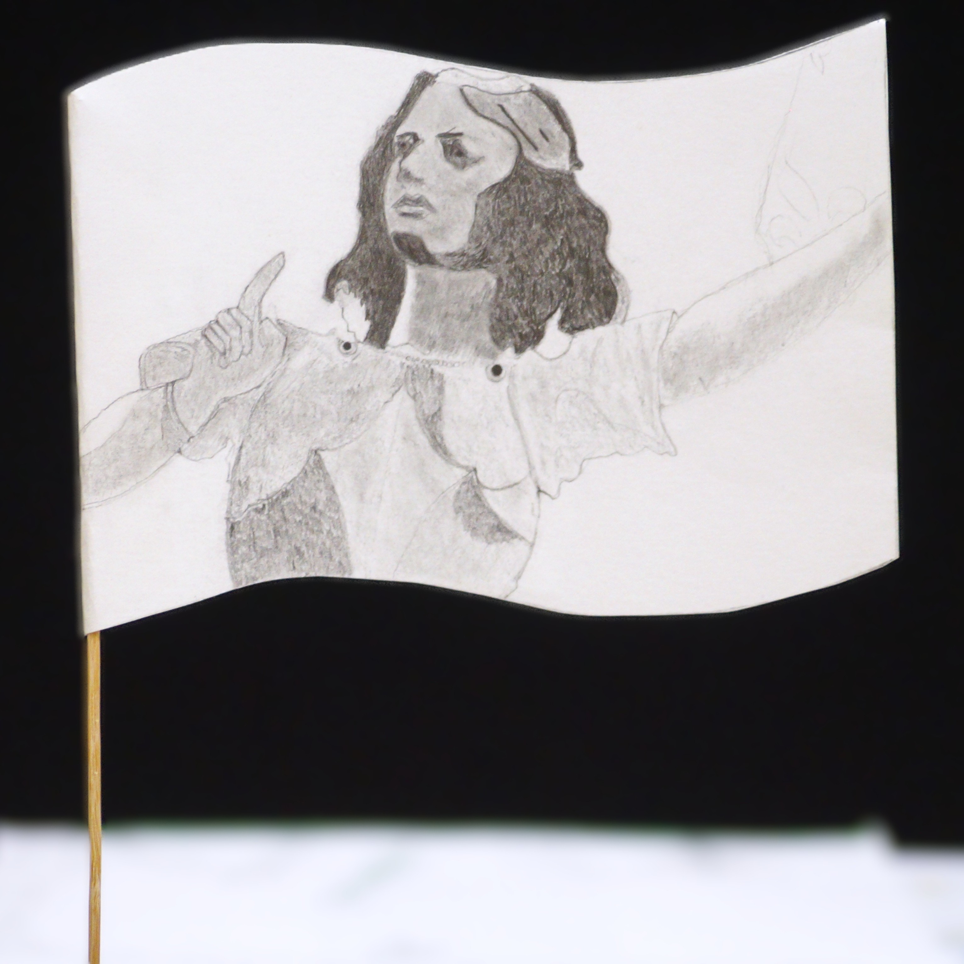 L'album du drapeau — photo 14